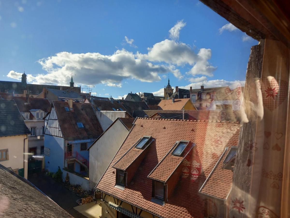 Gite Schlossberg コルマール エクステリア 写真